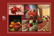 گزارش تصویری؛ عکس‌های برگزیده‌ی اعضا و مربیان استان تهران در پویش عکاسی "یلدای روشن"